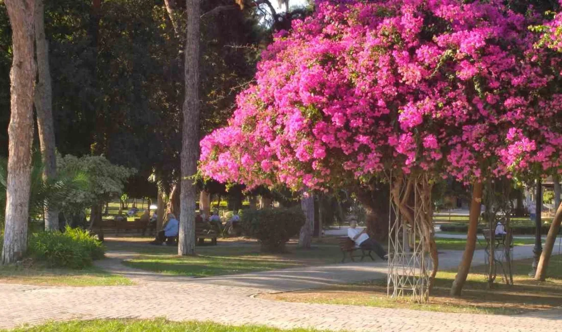 Türkiye’nin birçok bölgesinde sonbahar serinliği hissedilirken, Adana’da termometreler 32-33 dereceyi