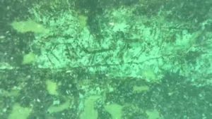 Adıyaman Atatürk Barajı kıyısındaki ana kayada yer alan 12 bin