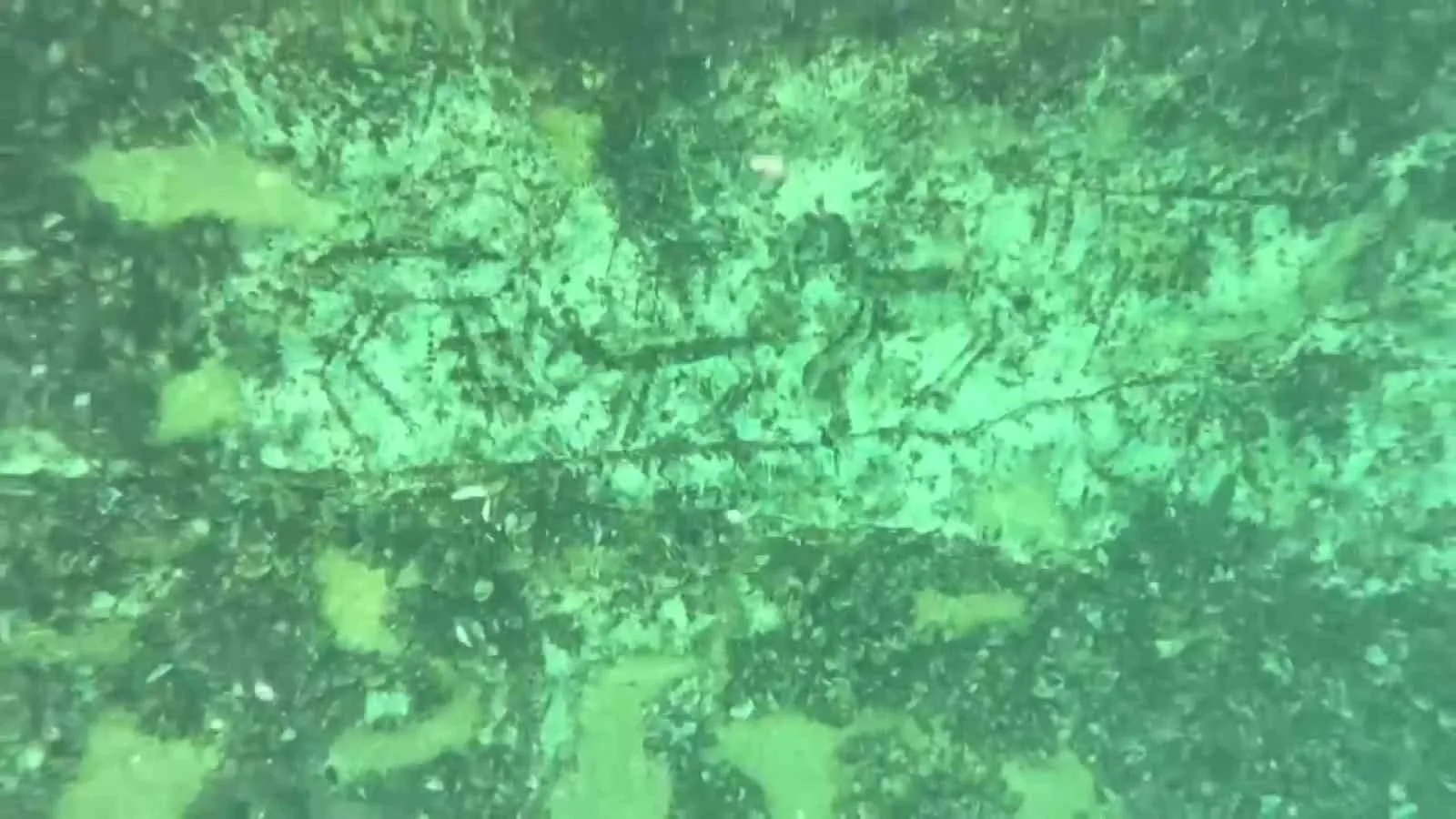 Adıyaman Atatürk Barajı kıyısındaki ana kayada yer alan 12 bin