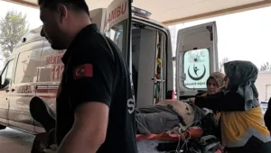 Bursa’nın İnegöl ilçesinde ceviz ağacından düşen adam kaldırıldığı hastanede hayatını