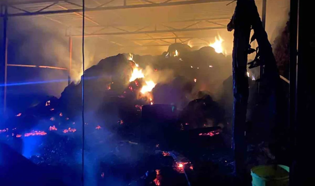 Antalya’nın Gazipaşa ilçesi Göçük Mahallesi Sümbüller mevkiinde Hayati Yaman’a ait