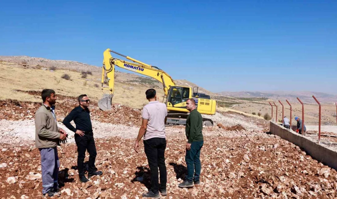 Malatya’nın Akçadağ ilçesinde sokak hayvanlarının daha sağlıklı ve güvenli şartlarda
