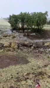 Aksaray’ın yüksek kesimlerinde bulunan Güzelyurt ilçesine mevsimin ilk karı yağdı.