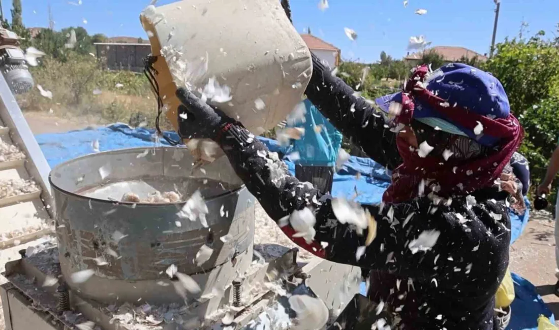 Aroması, selenyum ve germanyum özelliğiyle yurt dışındaki antibiyotik fabrikalarının gözdesi