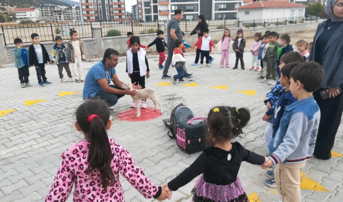 Konya’nın Akşehir ilçesinde okullarda öğrencilere hayvan sevgisi, hayvan refahı ve