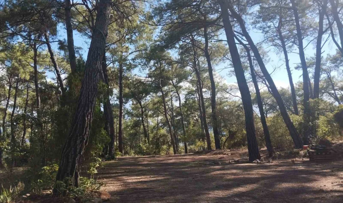 Akyaka Gökova Konaklamalı Orman Parkı, yaz sezonunun sona ermesinin ardından