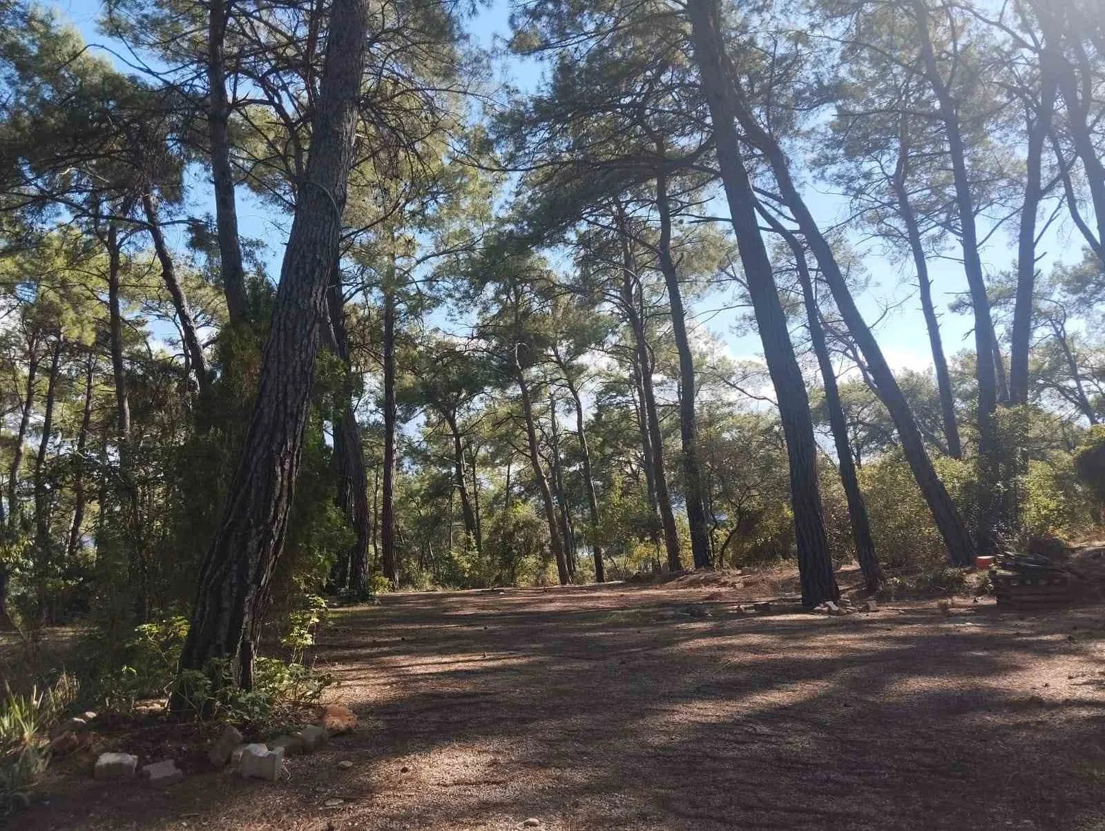 Akyaka Gökova Konaklamalı Orman Parkı, yaz sezonunun sona ermesinin ardından