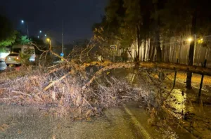 Alanya Belediyesi, olumsuz hava şartlarına karşı gece boyunca sahada aktif
