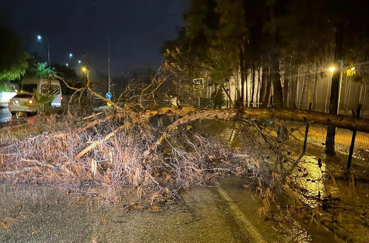 Alanya Belediyesi, olumsuz hava şartlarına karşı gece boyunca sahada aktif