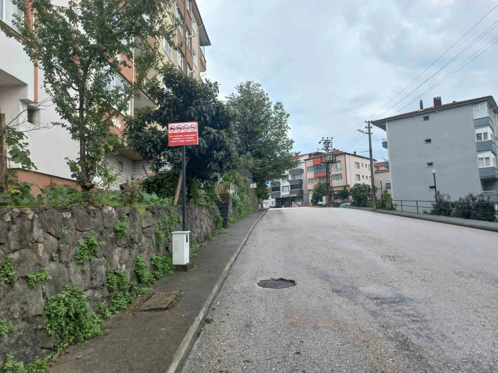 Zonguldak’ın Alaplı ilçe genelinde büyük araçların gelişi güzel park edilmesine