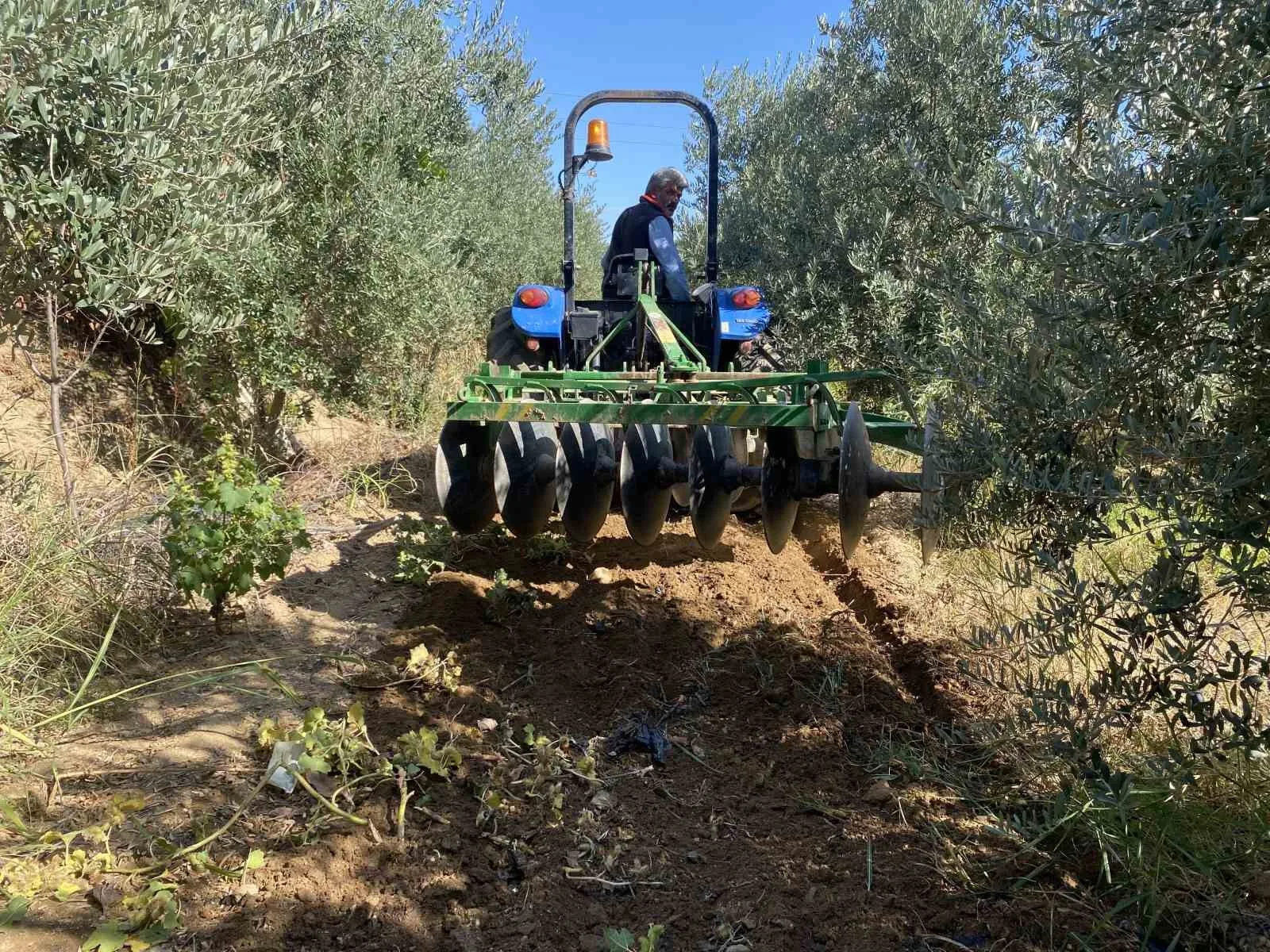 Manisa’nın Alaşehir ve çevresinde son günlerde etkili olan yağışlar, çiftçilerin