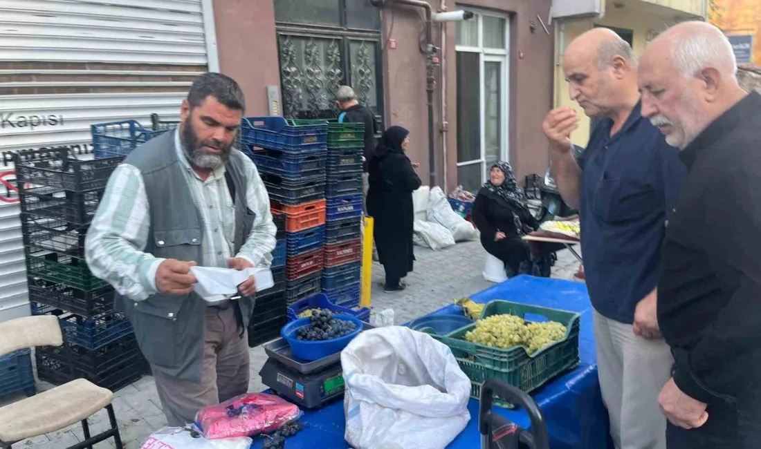 Kütahya’nın Tavşanlı ilçesine Alaşehir’den getirilen üzümler satışa sunuldu. Türkiye’nin üzüm