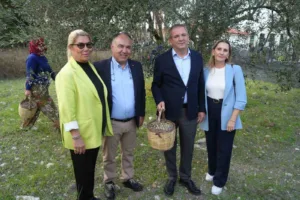 Ayvalık Ticaret Odası Başkanı Ali Uçar, zeytin hasadının başlamasıyla birlikte