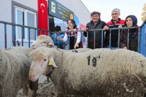 Küçükbaş hayvancılığın geliştirilmesi ve yerel üreticilerin ekonomik olarak desteklenmesi amacıyla