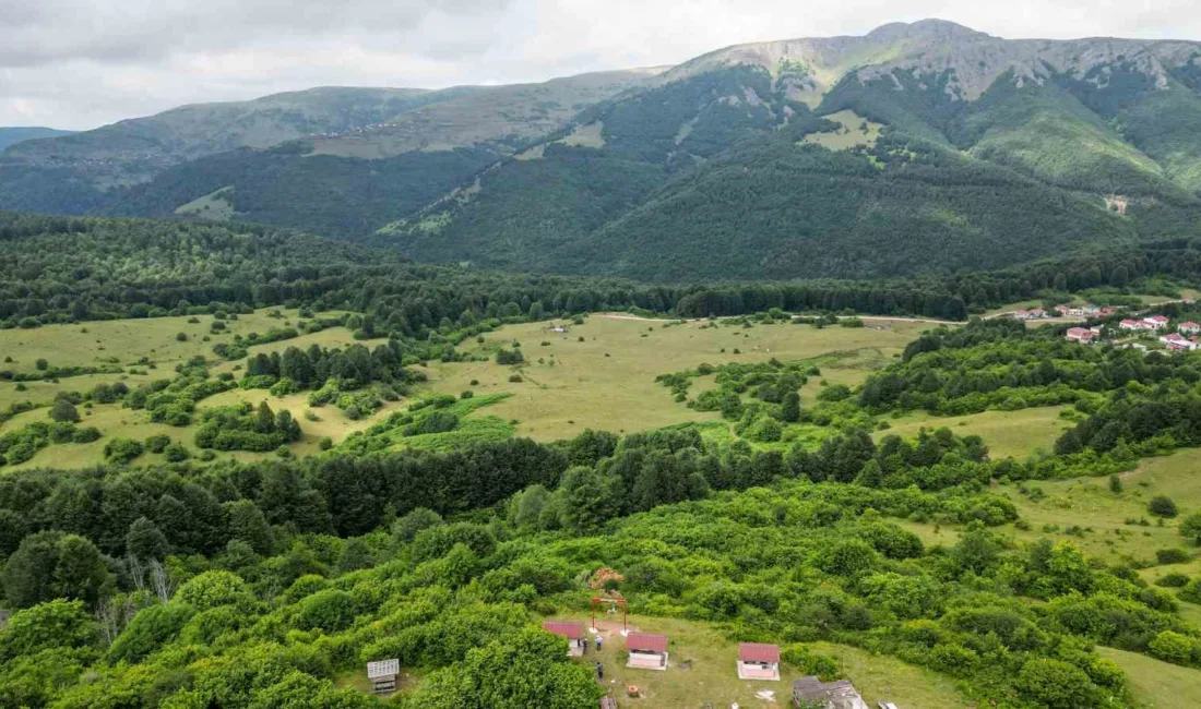 Tokat ile Ordu sınırında yer alan Cimban Yaylası, İsviçre Alpleri’ni
