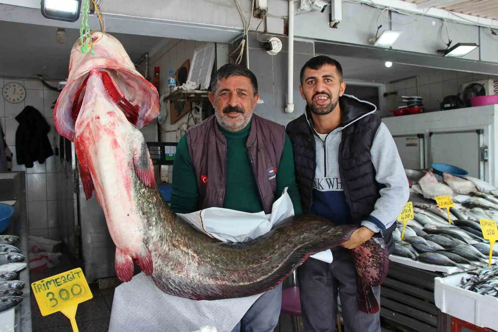 Samsun’un Altınkaya Barajı’nda balıkçılar tarafından 2 metre uzunluğunda, 85 kilogram
