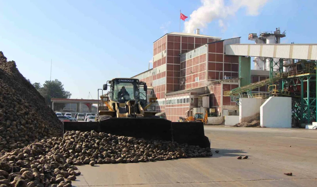 Amasya’da zirai don ve yaz döneminde etkileri artan kuraklık şeker