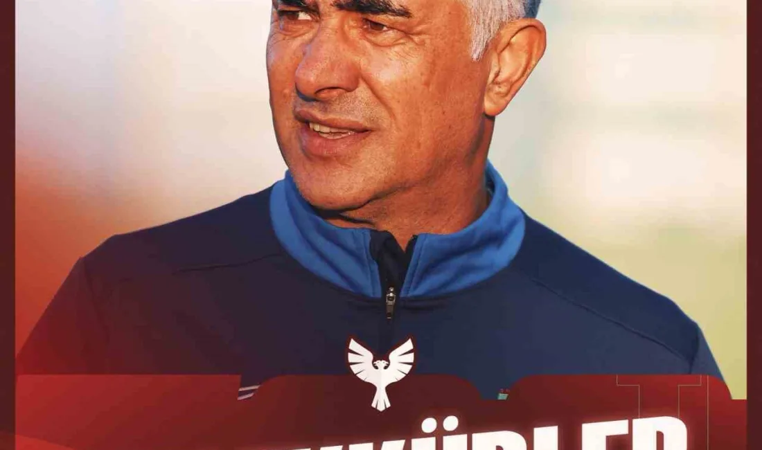Trendyol 1. Lig ekibi Amed Sportif Faaliyetler, Teknik Direktör Mehmet