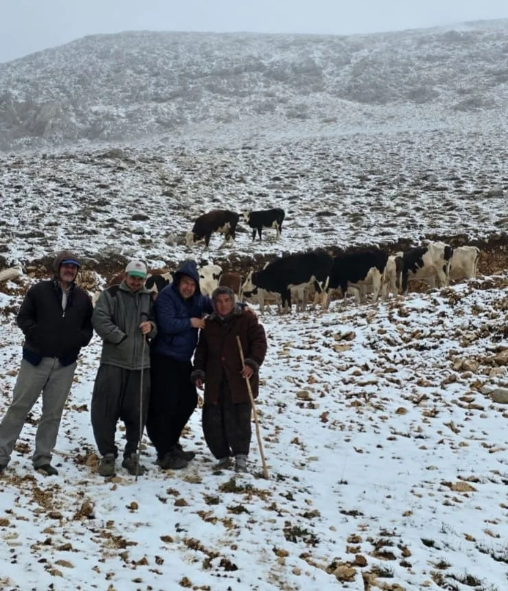 Adana’nın Feke ilçesinde aniden bastıran yar yağışı nedeniyle yaylada mahsur