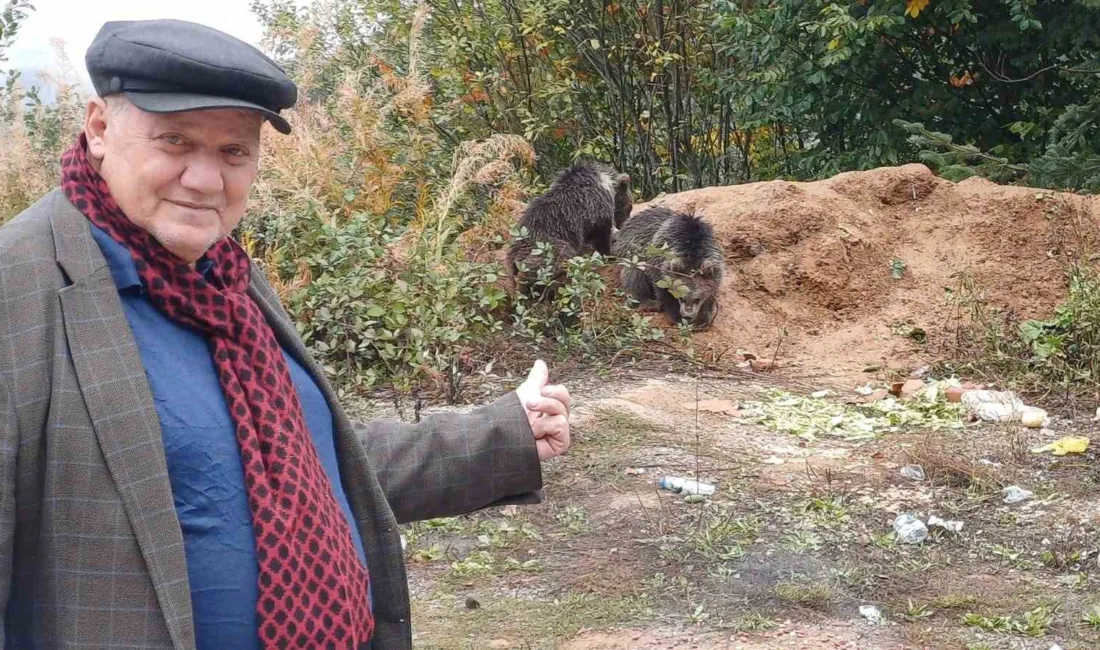 Kastamonu (İHA) – Kastamonu’nun Küre ilçesinde anneleri araç çarpmasıyla telef