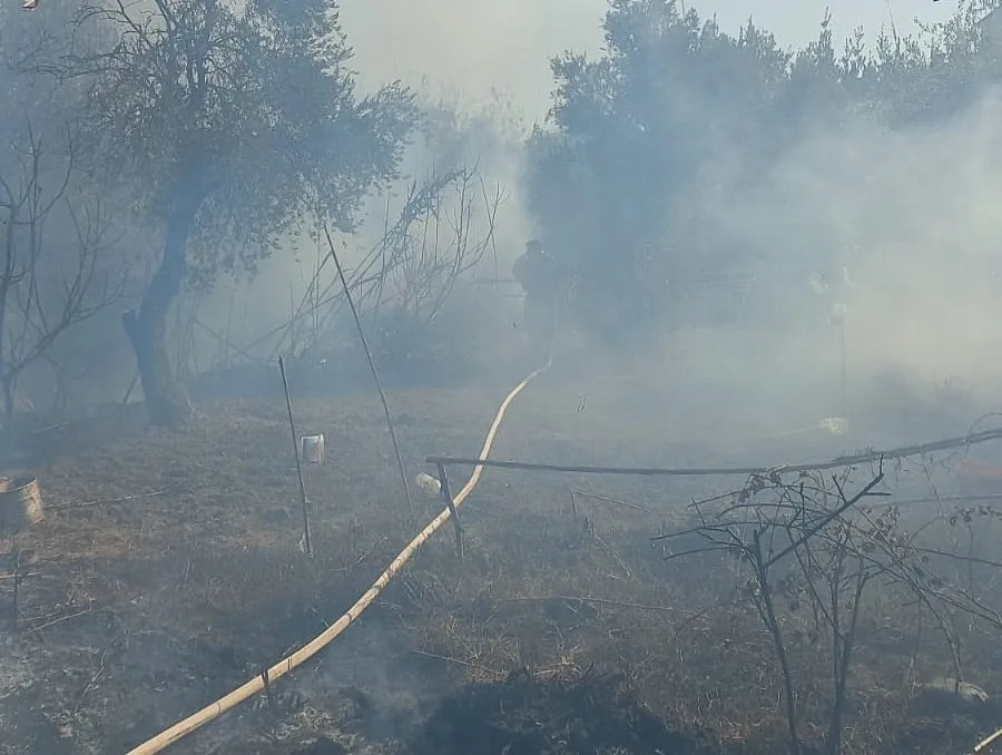 Hatay’da zeytinlik alanda çıkan yangın büyümeden söndürüldü. Yangın, Antakya ilçesi