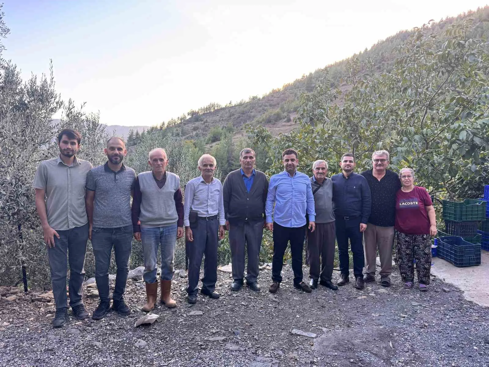 Antalya’nın Gazipaşa ilçesine özgü, coğrafi işaretli çekirdeksiz narda hasat sezonu
