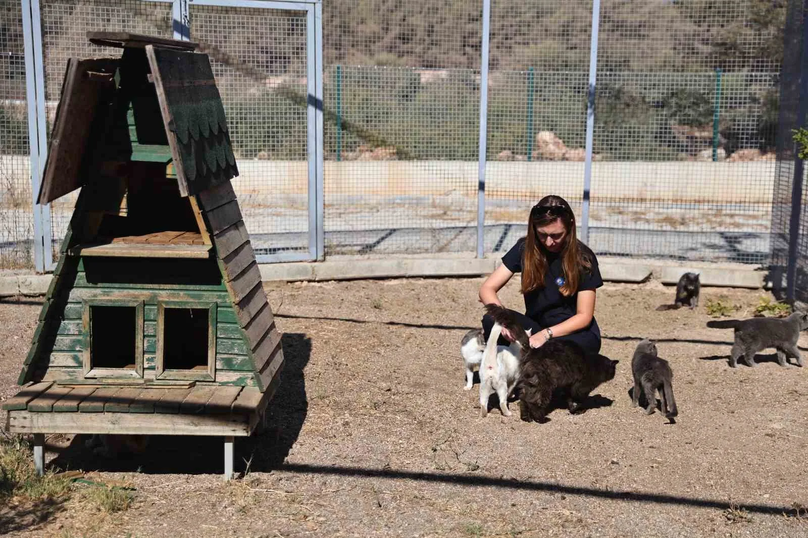 Antalya Büyükşehir Belediyesi, sokak hayvanlarının yaşam hakkını korumak amacıyla çalışmalarını