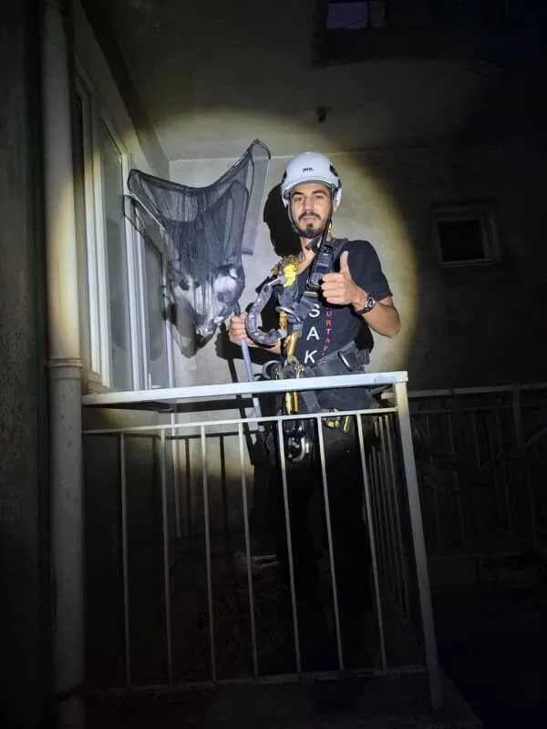 Aydın’ın Efeler ilçesinde apartman boşluğunda mahsur kalan yavru kedi, Acil