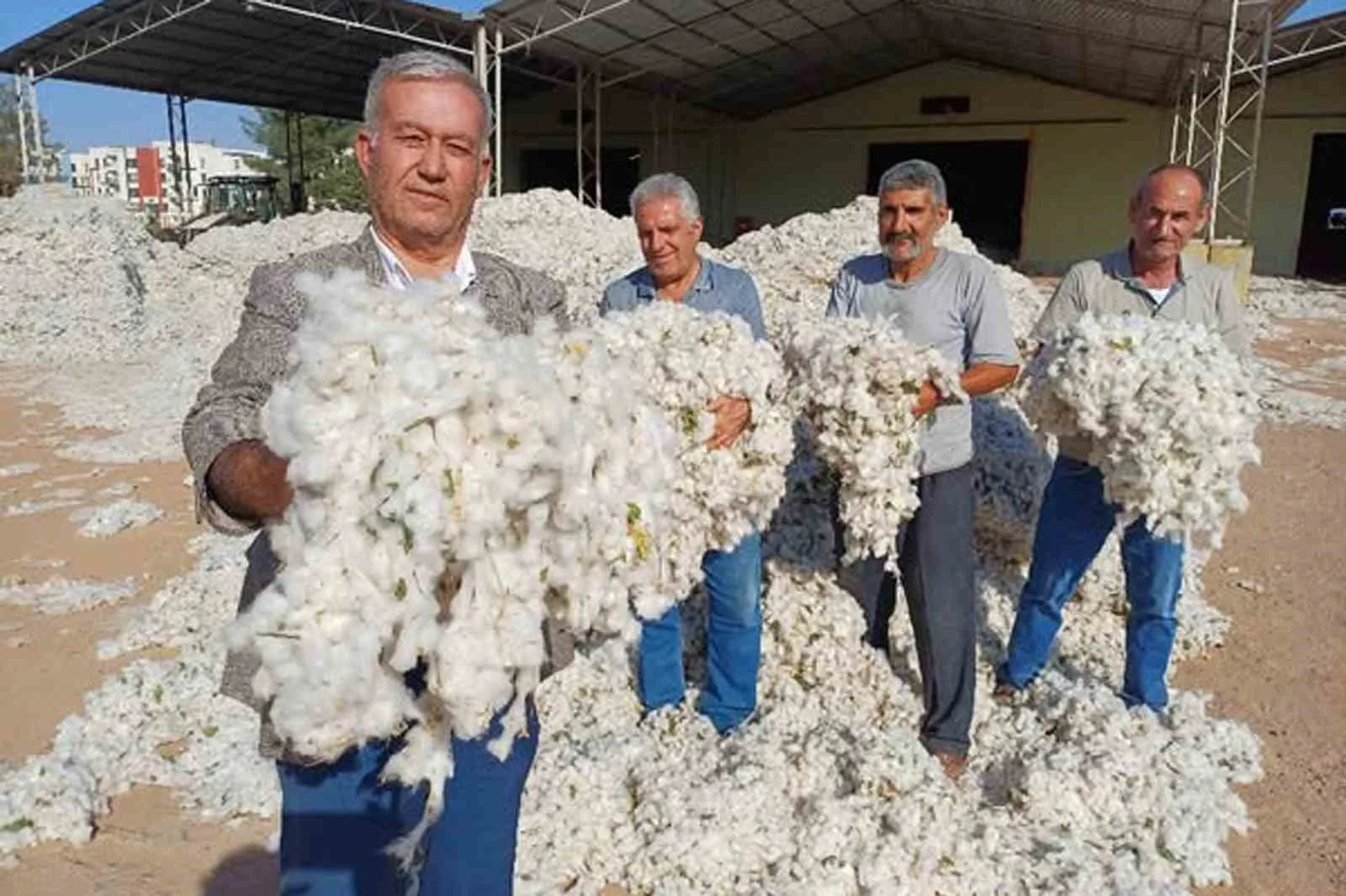 Gaziantep’in Araban ilçesinde, üreticiler 2025 yılı makinalı pamuk hasadına düşük