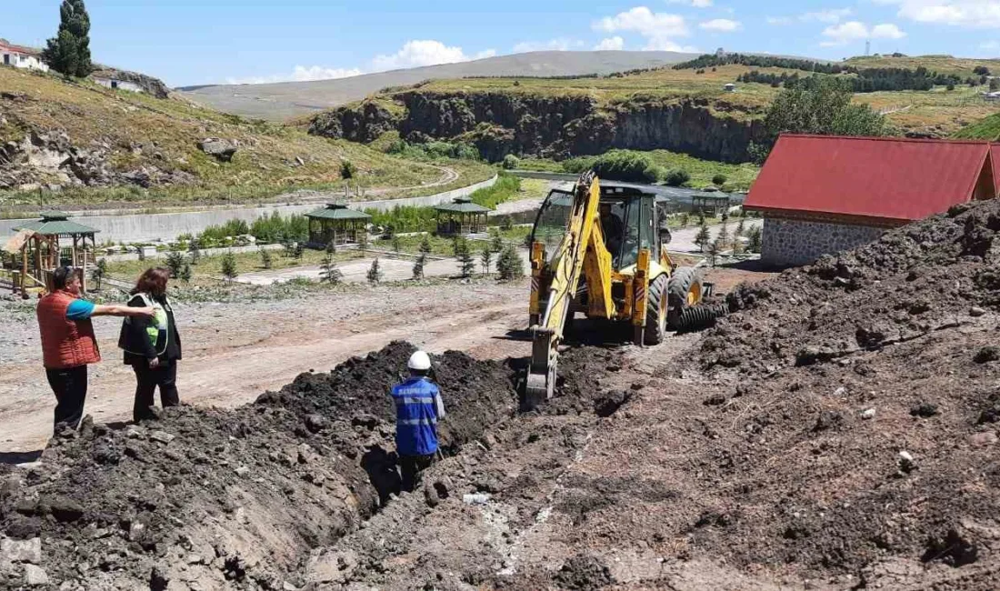 Doğu Anadolu’nun zorlu iklim ve coğrafi koşullarında elektrik dağıtım hizmetini