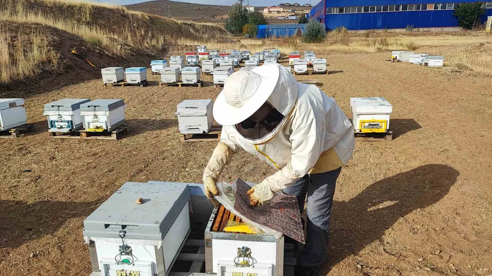 Yozgat’ın Çayıralan ilçesinde arıcılık yapan Ali Rafet Aytekin, insan ayağının
