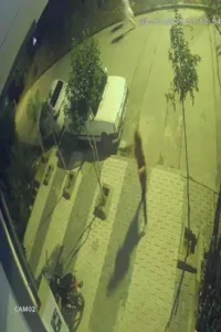 İstanbul’un Arnavutköy ilçesinde freni patlayan hafif ticari araç çayırlık alandan