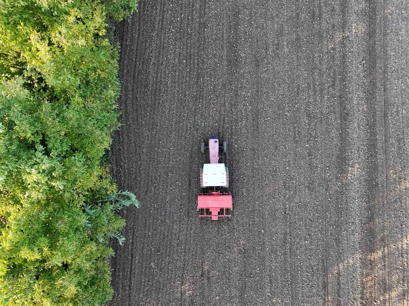 Düzce Belediyesi, Tarım Akademisi arazisinde başlattığı Ata Tohumu Yetiştiriciliği Projesi’nde