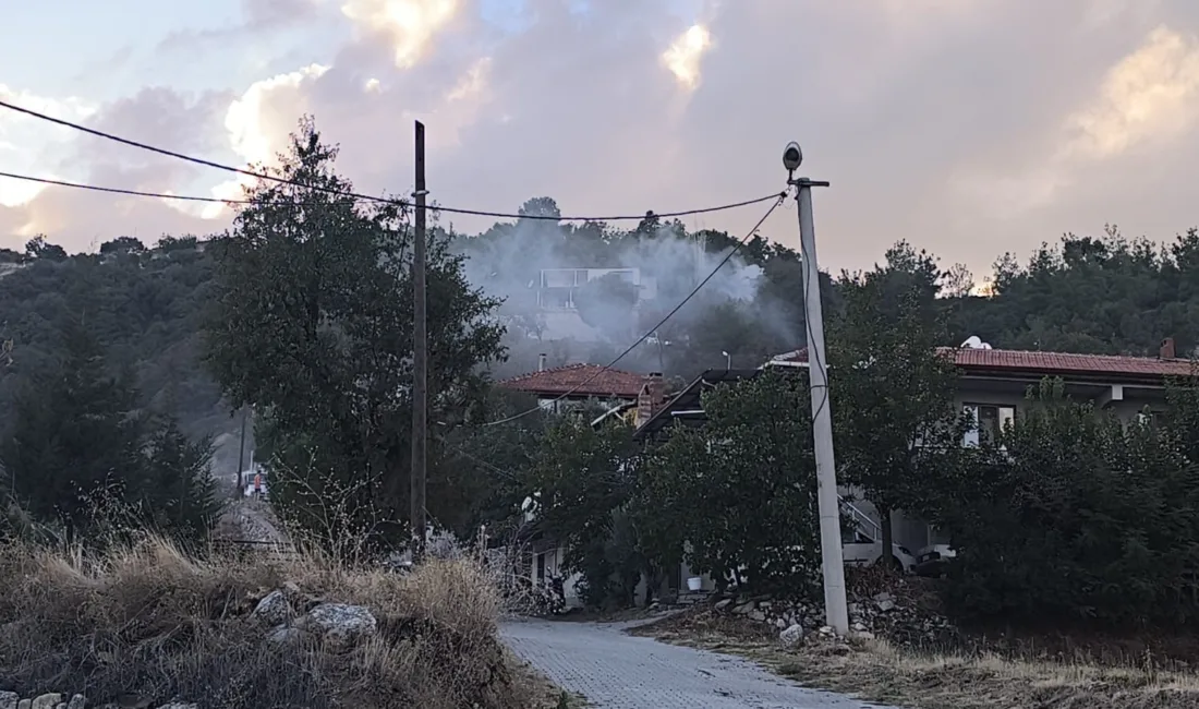 DENİZLİ (İHA) – Denizli’nin Buldan ilçesinde bir yazlığın bahçesindeki kuru