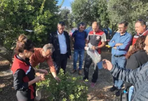 Aydın’ın Didim ve Kuşadası ilçelerindeki üreticilerin katılımıyla gerçekleştirilen teknik gezide,