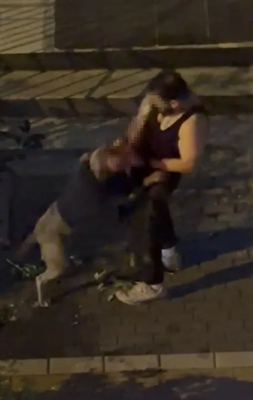 İstanbul Bahçelievler’de pitbull cinsi köpek sahibine saldırdı. Adamın kolunu ısıran