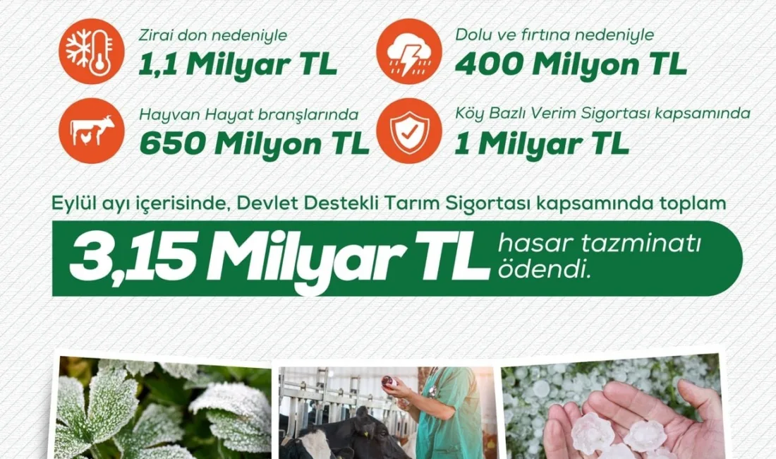 Tarım ve Orman Bakanı İbrahim Yumaklı, “Eylül ayında Devlet Destekli