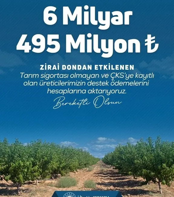 Tarım ve Orman Bakanı İbrahim Yumaklı, “Üreticilerimize toplamda 20 milyar