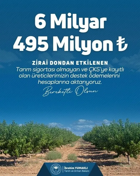 Tarım ve Orman Bakanı İbrahim Yumaklı, “Üreticilerimize toplamda 20 milyar