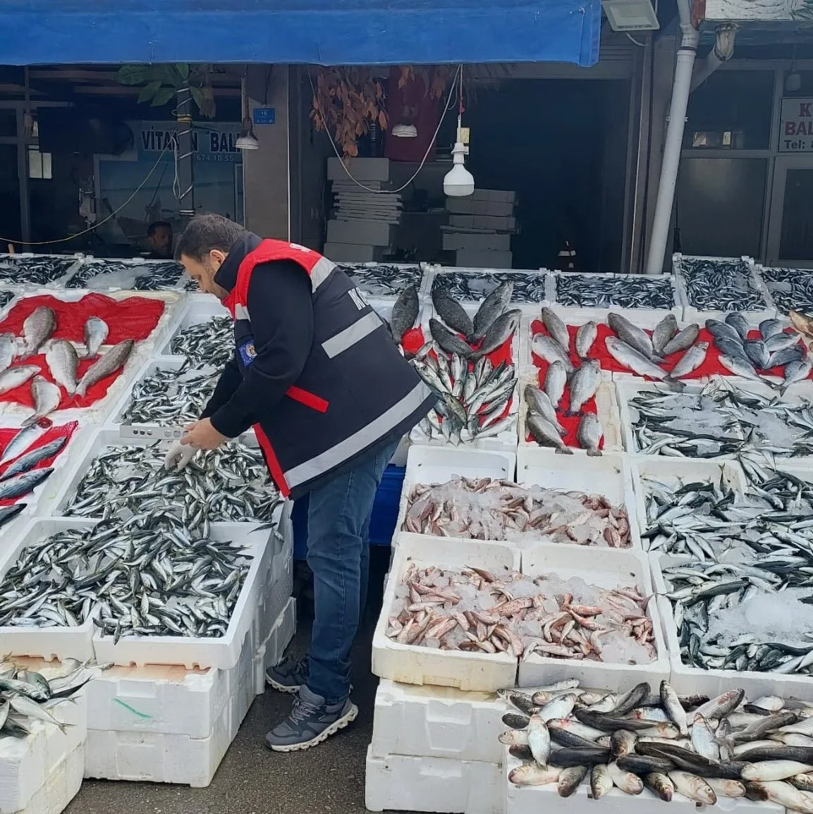 Samsun Çarşamba İlçe Tarım ve Orman Müdürlüğü su ürünleri kontrol