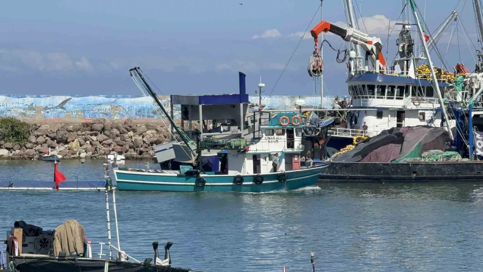 Balıkçılar, hava sıcaklıklarının mevsim normallerinin üzerinde seyretmesi nedeniyle hamsi avında