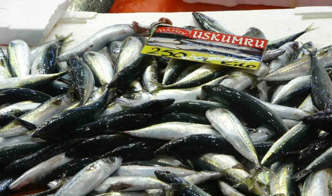 Kocaeli’de olumsuz hava şartları nedeniyle yükselen balık fiyatları, havanın düzelmesiyle