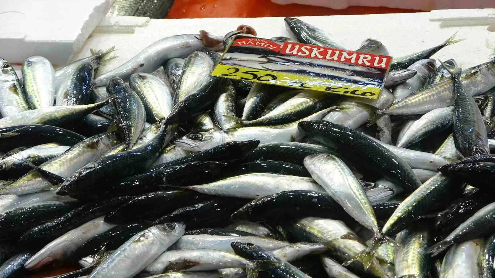 Kocaeli’de olumsuz hava şartları nedeniyle yükselen balık fiyatları, havanın düzelmesiyle