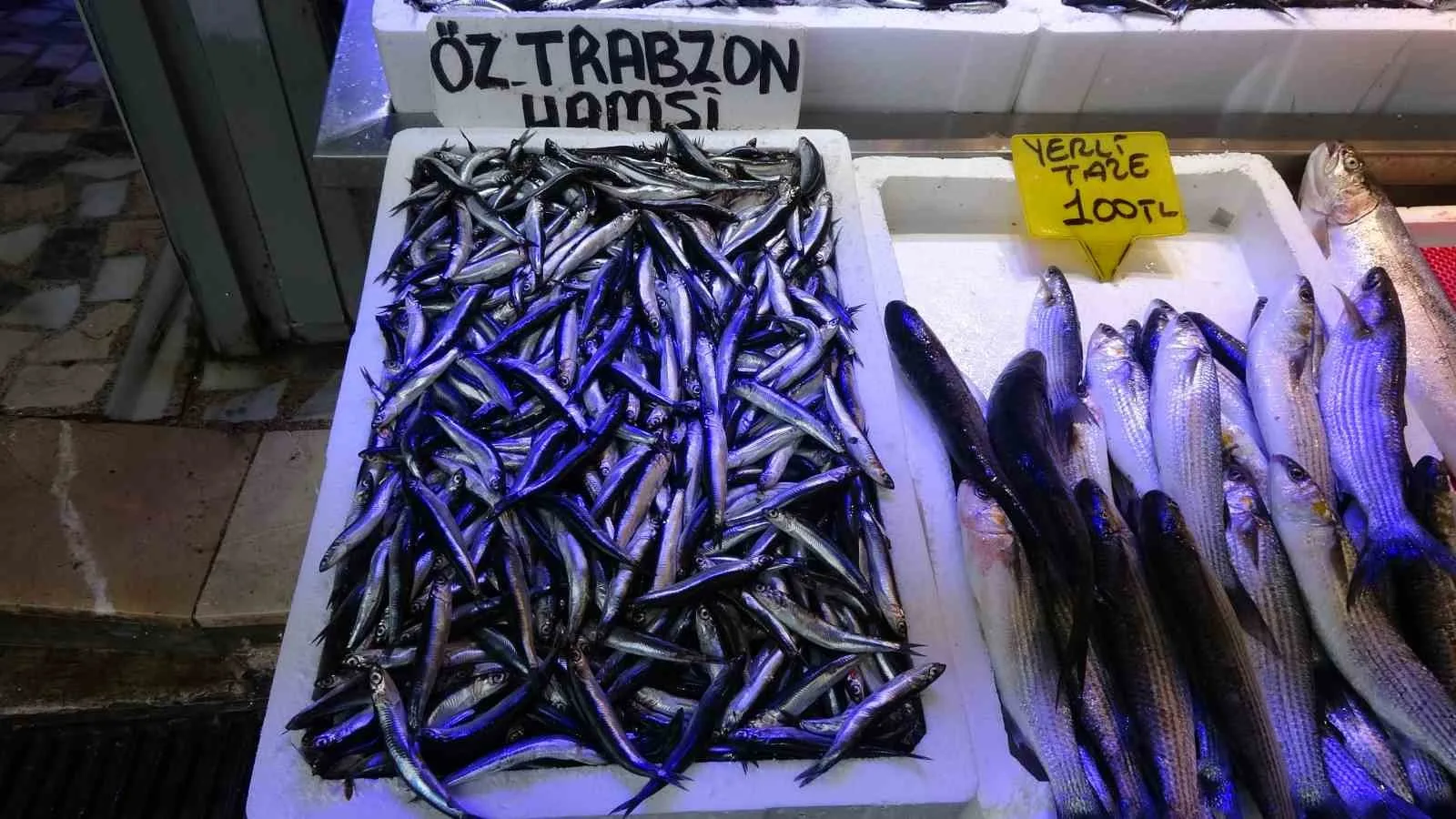 Trabzon ve Hopa açıklarında son günlerde bulunan Ukrayna’ya ait insansız