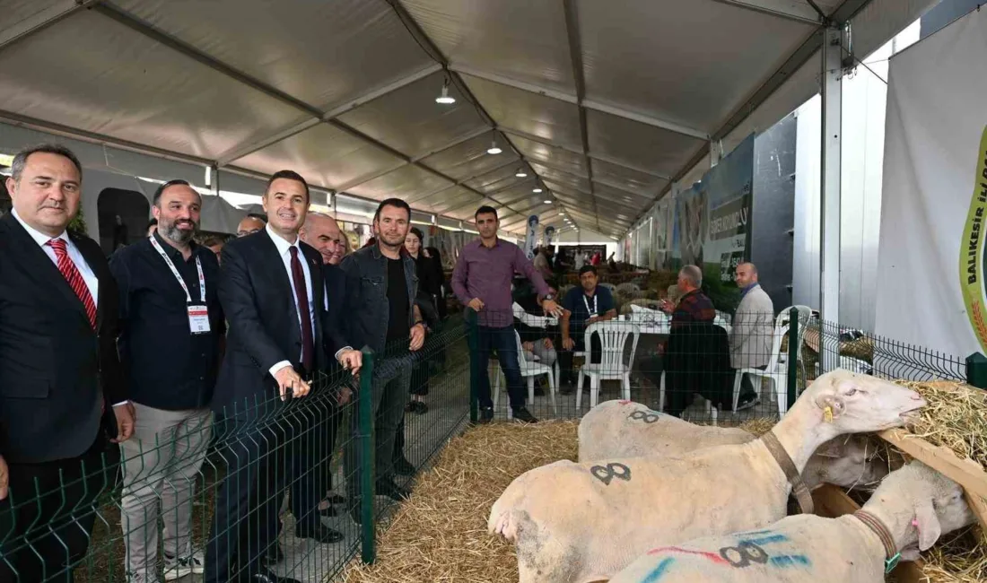 Balıkesir Büyükşehir Belediyesinin ev sahipliğinde bu yıl ikincisi düzenlenen Balıkesir