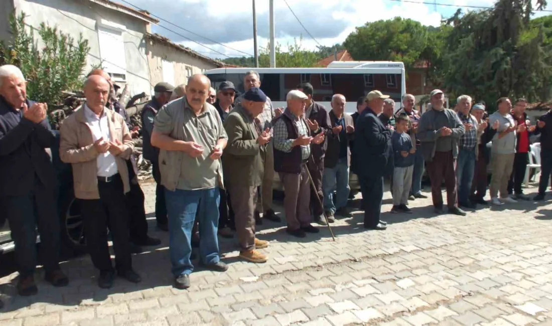 Türkiye’nin önemli zeytin üretim merkezlerinden Balıkesir’in Burhaniye ilçesinde zeytin üreticileri
