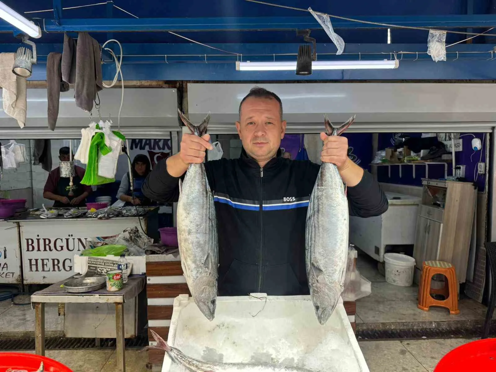 Bandırma Su Ürünleri Hali’nde 1 Eylül’de açılan 2025-2026 gırgırla avlanma