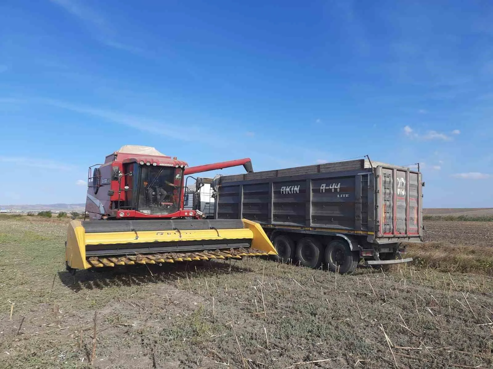 Balıkesir’in Bandırma ilçesinde 5 bin dekar alanda yapılan ayçiçeği hasadı