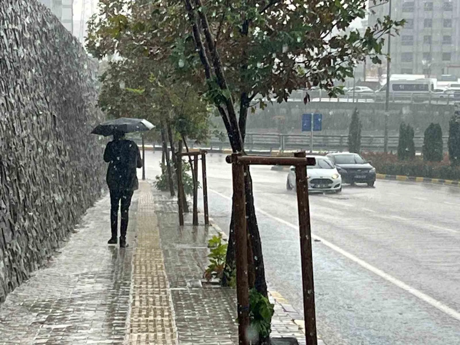 Meteoroloji verilerine göre son 65 yılın en kurak yılının yaşandığı