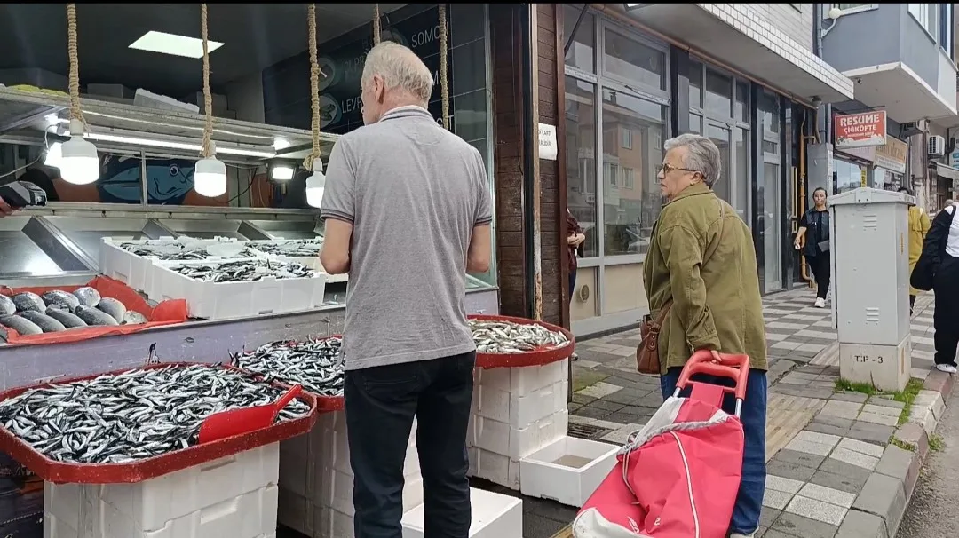 Bartın’da hamsi azalırken, fiyatı arttı. Bartın’da 1 gün önce kilosu